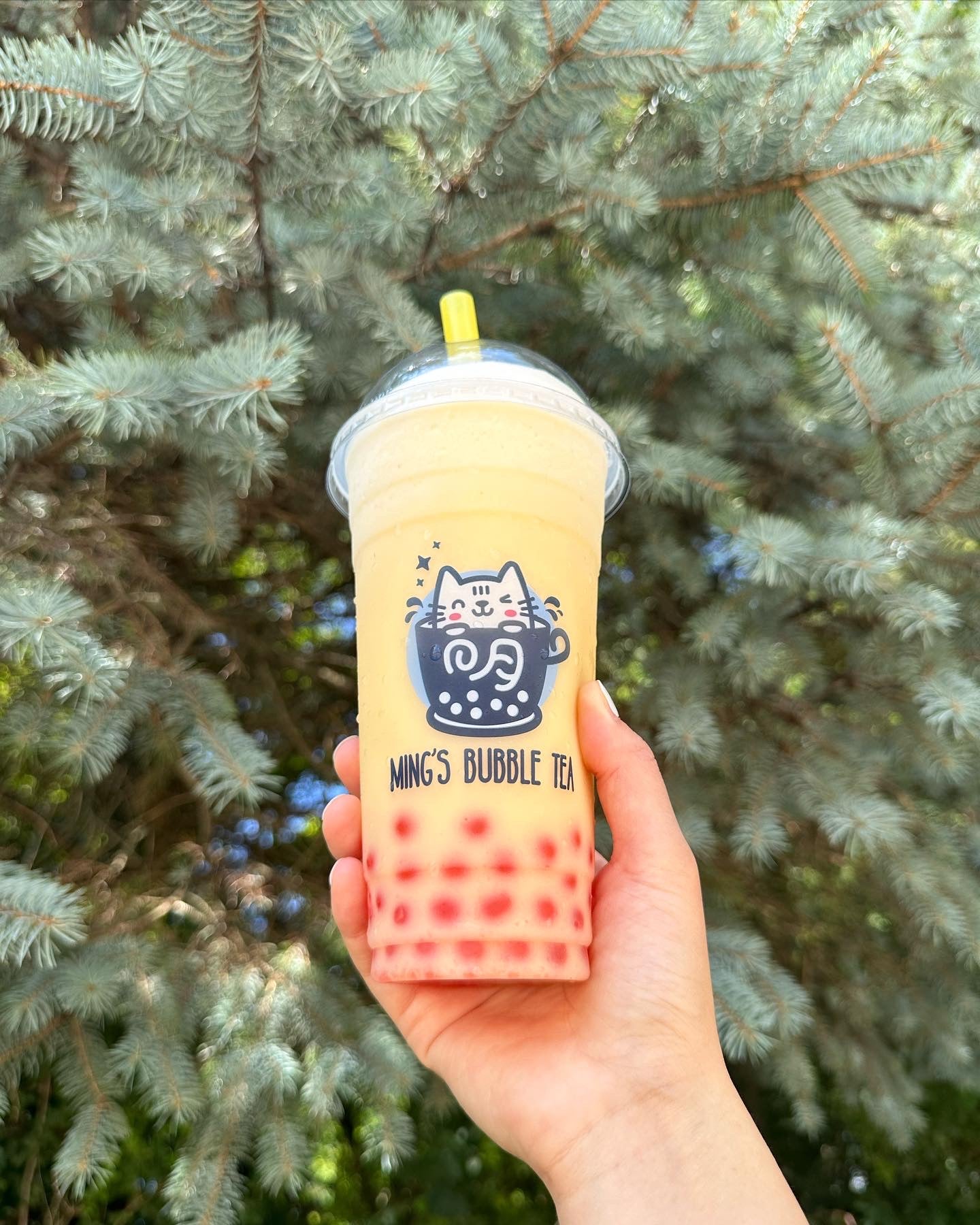 Home  Ming's Bubble Tea